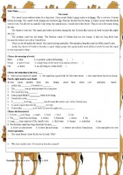 English Worksheet: the camel