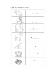 English worksheet: Animals