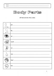 English worksheet: Body Parts