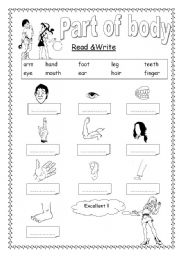 English Worksheet: Part of body