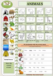 English Worksheet: ANIMALS