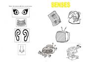 English Worksheet: Senses