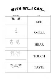 English Worksheet: five senses