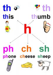 English Worksheet: th ph ch sh