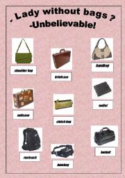 English Worksheet: all types of bags