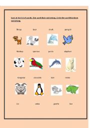 English Worksheet: animal odd one out