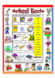 English Worksheet: School Tools