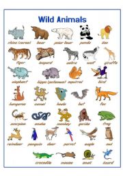 English Worksheet: Wild Animals