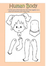 English Worksheet: Human Body (Girl)