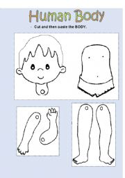 English Worksheet: Human Body (Boy)