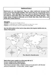 English Worksheet: rain forest