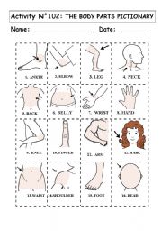 English Worksheet: THE BODY PARTS PICTIONARY