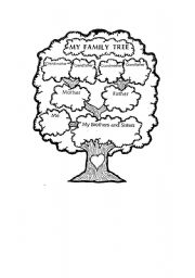 family tree