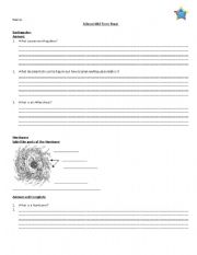 English worksheet: Science exam