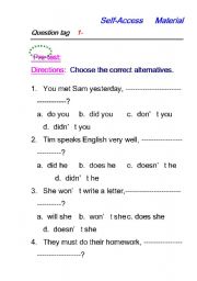 English worksheet: tag