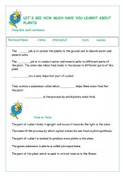 English Worksheet: Flowers and plants