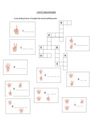 English Worksheet: Count the fingers