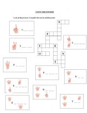 English worksheet: Count the fingers