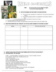 English Worksheet: WILD ANIMALS