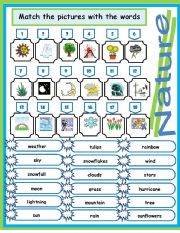 English Worksheet: Nature words ( Match)