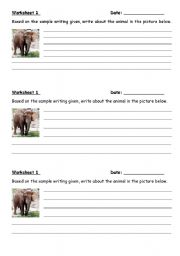 English Worksheet: animal
