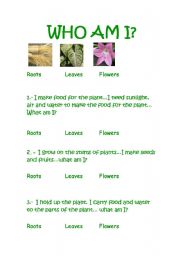 English Worksheet: Who am I?