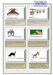 English Worksheet: Animal Idioms