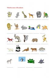 English worksheet: animals worksheet