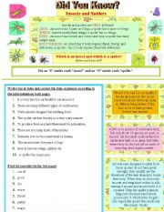 English Worksheet: Did you know? Insects and Spiders