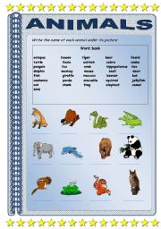 English worksheet: Wild animals