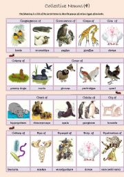 English Worksheet: Collective Nouns (animals) 4