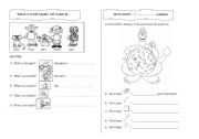 English Worksheet: whats your name woorksheet