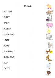 English Worksheet: BABIES