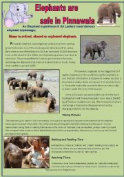 English Worksheet: Elephants are safe inPhinnawala