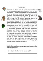 English Worksheet: reading (rainforest)