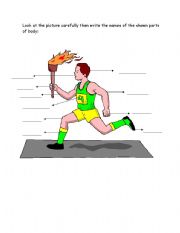 English Worksheet: parts of body