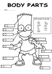 English Worksheet: Label Barts body parts.