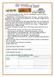 English Worksheet: the world of bees