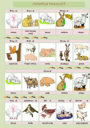 English Worksheet: Collective Nouns (animals) 5