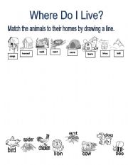 English Worksheet: Animal Homes