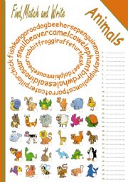 English Worksheet: ANIMALS