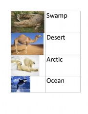 English worksheet: animal cards