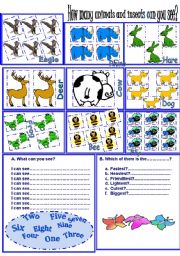 English Worksheet: Numbers+animals+adjectives degrees +ordinal numbers consolidation.