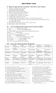 English Worksheet: Simple Present Tense