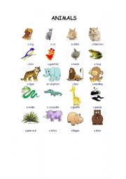 English worksheet: Animals