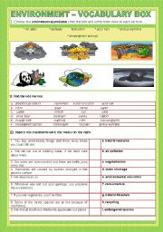 English Worksheet: ENVIRONMENT - VOCABULARY BOX