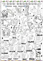 English Worksheet: SEA ANIMALS