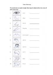 English Worksheet: parts of the body