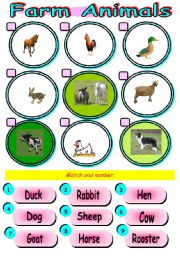 English Worksheet: Farm animals