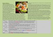 English Worksheet: Sushi : History, Types, Interesting facts